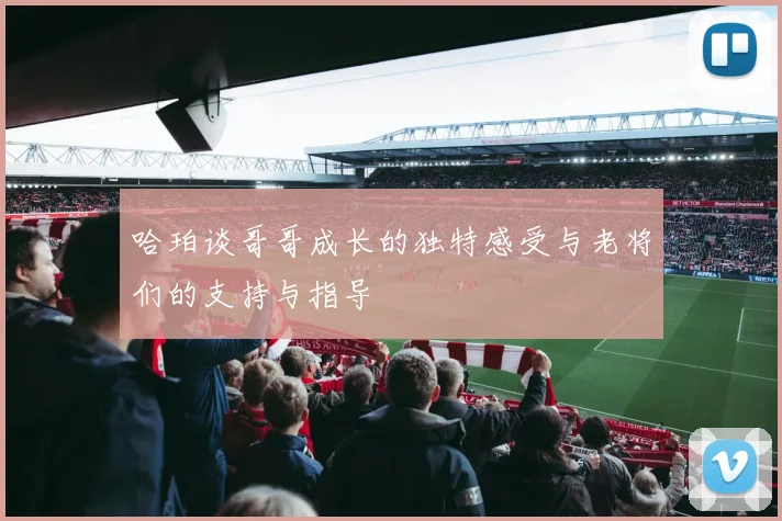 哈珀谈哥哥成长的独特感受与老将们的支持与指导