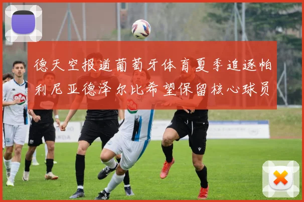 德天空报道葡萄牙体育夏季追逐帕利尼亚德泽尔比希望保留核心球员